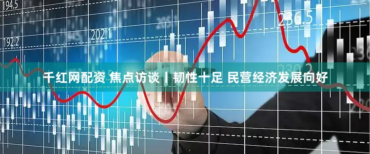 千红网配资 焦点访谈丨韧性十足 民营经济发展向好